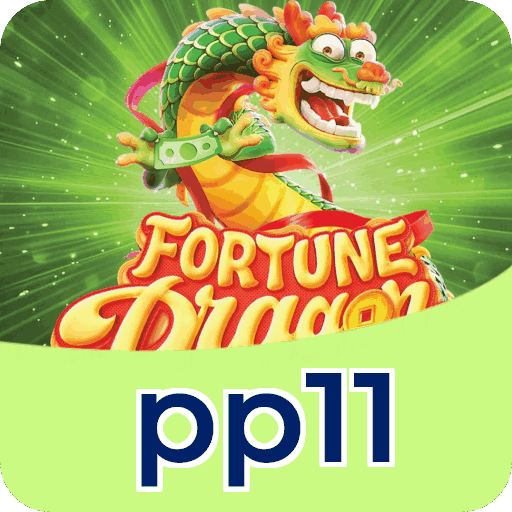 Métodos de pagamento aceitos na pp11